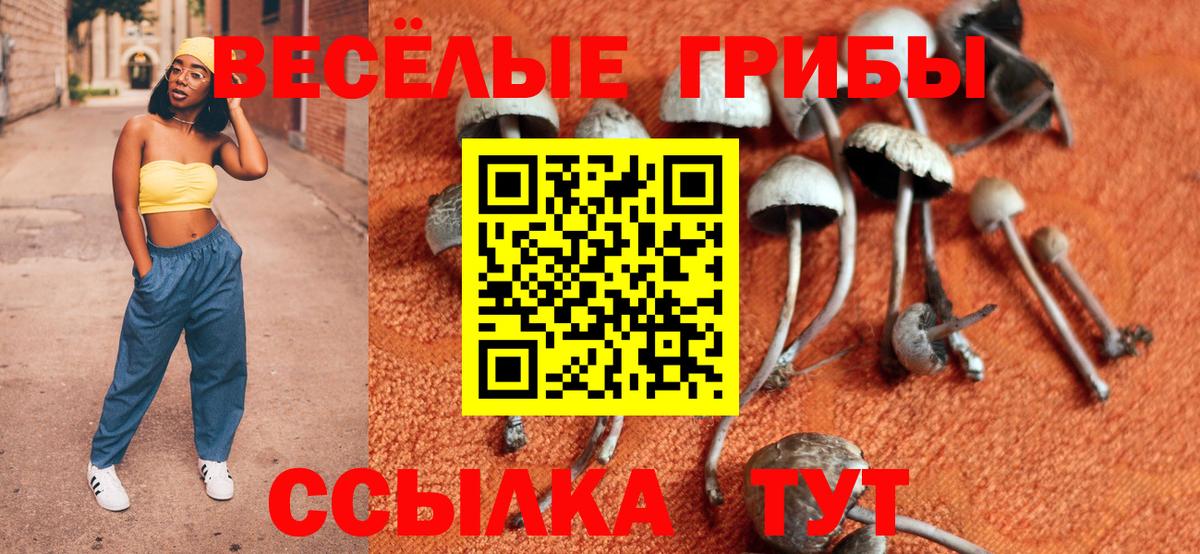 Галлюциногенные грибы мухоморы  Вход с VPN  Гулькевичи 